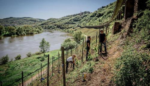 Gästehaus Simonis - Photo 3