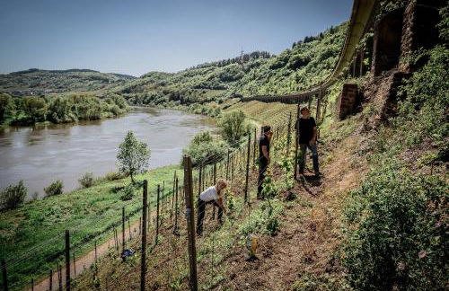 Gästehaus Simonis - Photo 3