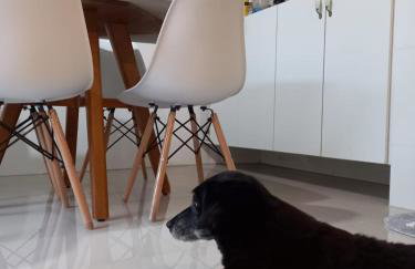 Casa térrea lindamente decorada e climatizada - Foto 6