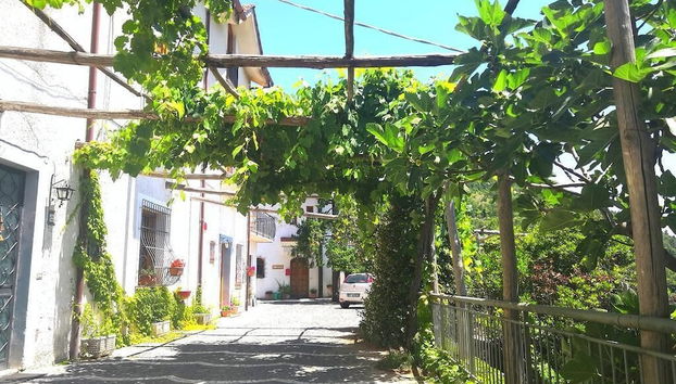 Agriturismo Il Castagno - Foto 2, Imagen principal