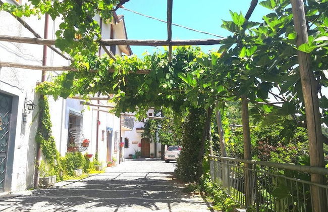 Agriturismo Il Castagno - Foto 1