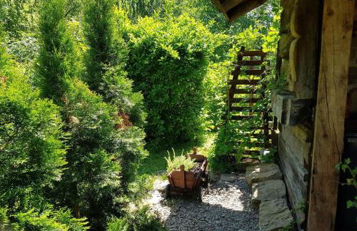 Willa Różana - Foto 19