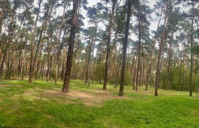 DOMEK W BRZOZACH nad jeziorem z balią na wyłączność - Foto 30