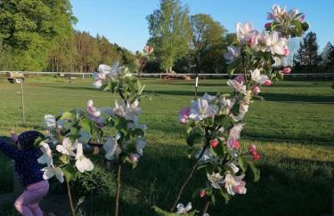 Weidmannsruh Natur pur - exklusives Tiny house - Foto 24