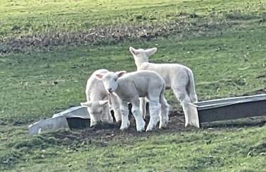 The Coach House at Wenvoe Manor, Cardiff - Photo 37