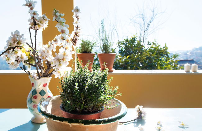 Youkali House - Foto 31