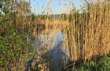 FeWo Lahnblick - Photo 15