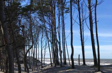 Apartament Rodzinny Z Dużym Tarasem - Foto 19