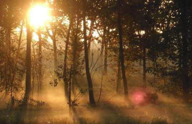 Settecentoalberi Agriturismo - Foto 26