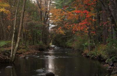 Argyll House by Boutique Litchfield Escape Villa - Foto 58