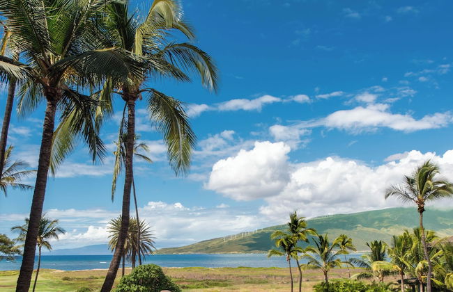 Boutique Oceanfront Studio Vistas - Photo 35