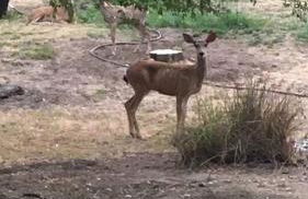 Charming vintage village house - Foto 19