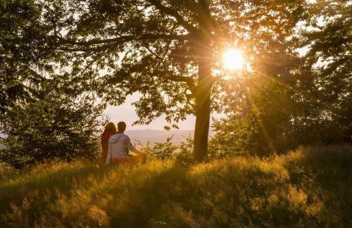 Country House Mettenberg - Foto 37