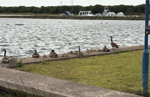 Lush Lake View - Photo 30