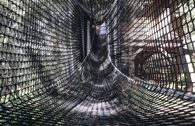 Domaine de la Tuilière - Foto 9