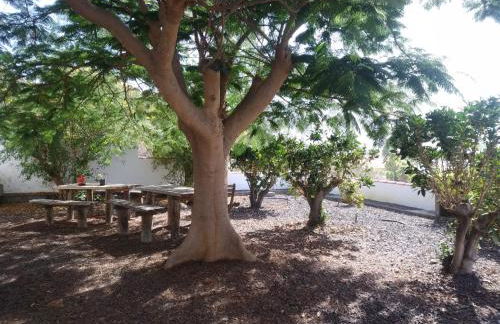 Casitas Rosheli - Foto 19