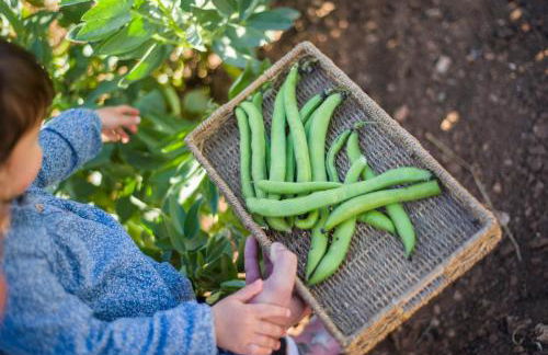 Agroturismo Llucmaçanes Gran - Foto 47