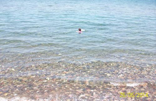 Studios Stefani - Photo 15