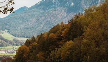 Das Luegstein - Foto 4