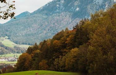 Das Luegstein - Foto 4