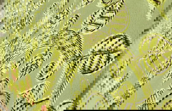 Natura Ravee Greenstay - Photo 23