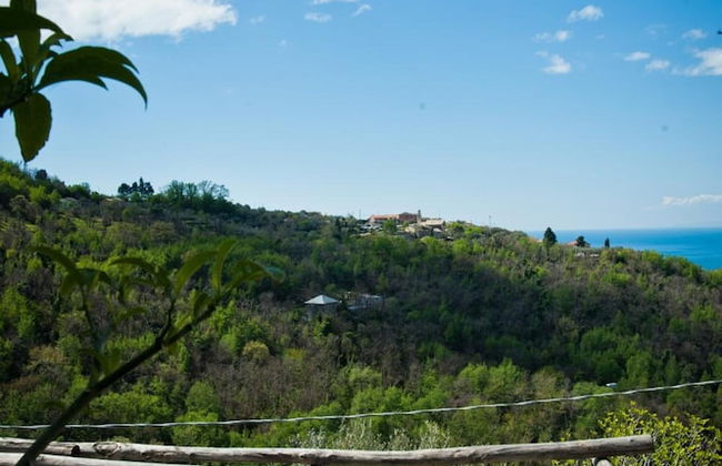 Il Giardino di Fe - Foto 50