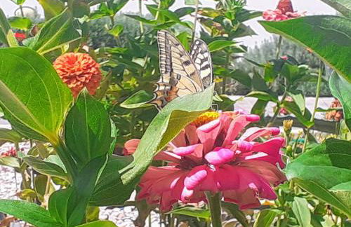 Michael's Greek House - Foto 31