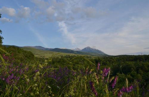 Agriturismo Tholos - Photo 23