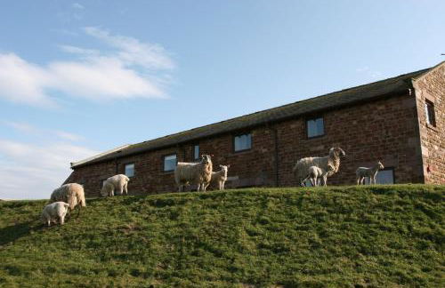 Pattys Barn Holiday Cottages, Cabins and Venue Hire - Foto 35