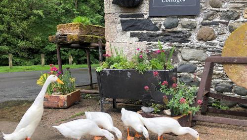 Jemima's Cottage - Foto 3