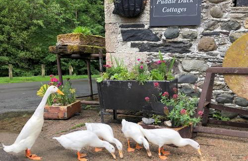 Jemima's Cottage - Foto 3