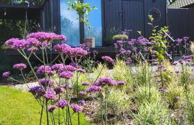 Czarnydomek - Foto 41