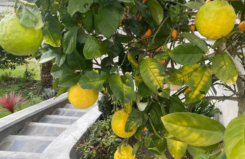 Monolocale COCO74 - Foto 23