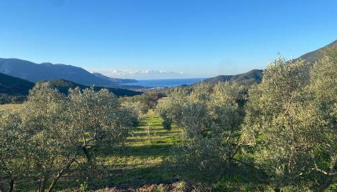 Agriturismo Il Ginepro - Foto 2