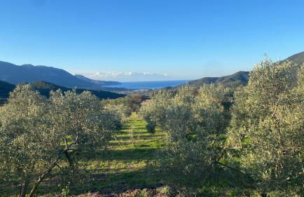 Agriturismo Il Ginepro - Foto 2