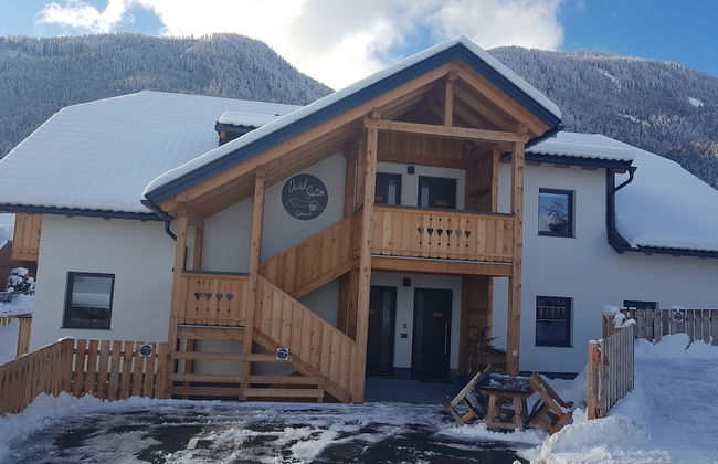 David Suiten - Foto 2