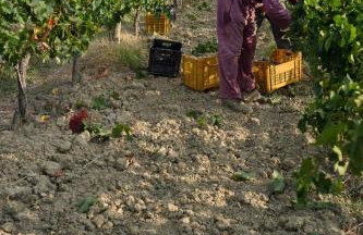 Argiano Dimore Wine Relais - Foto 126