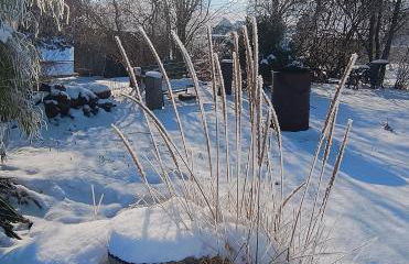 Ferienwohnung Koitscheblick - Foto 19