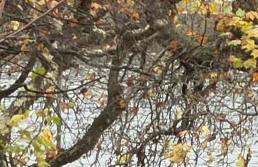 My Apartment - Foto 28