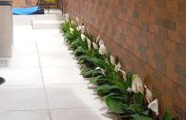 Casa Amarela da Prainha de Mambucaba - Piscina aquecida - Foto 44