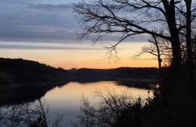 Ferienhaus 262 am Zeulenrodaer Meer - Photo 1