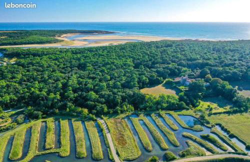 Charmant T2 au coeur du golf de port Bourgenay - Foto 43