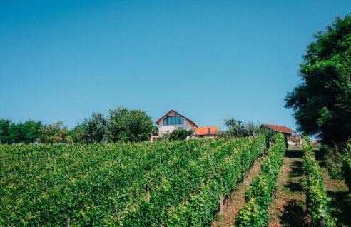 Amazing Home In Vukanovec With Sauna - Foto 8