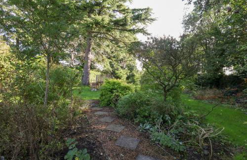 Little Timbers - Foto 27