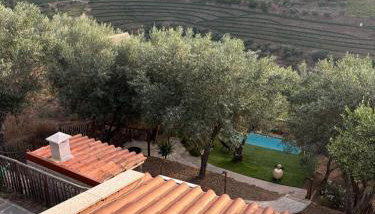 maison du olival - Foto 4