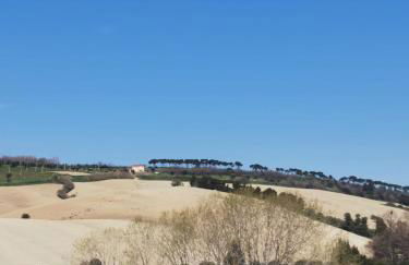 Il Piacere - Foto 15