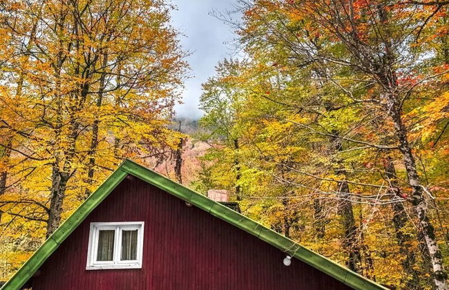 Habitat Mesire Evleri - Foto 33