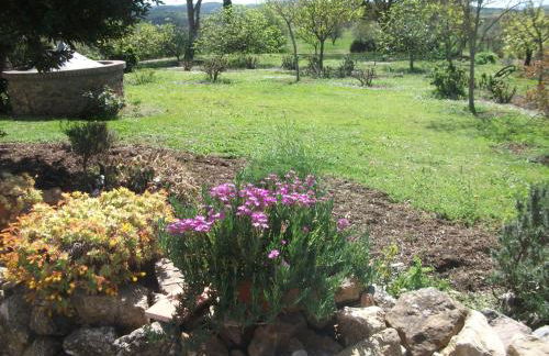 Casa Vacanze Valdicciola - Foto 34