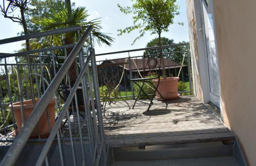 Palmengarten - Foto 14