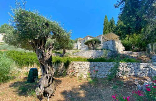 Paleopetres K-Six - Premium Suite - Kalami - - Foto 18